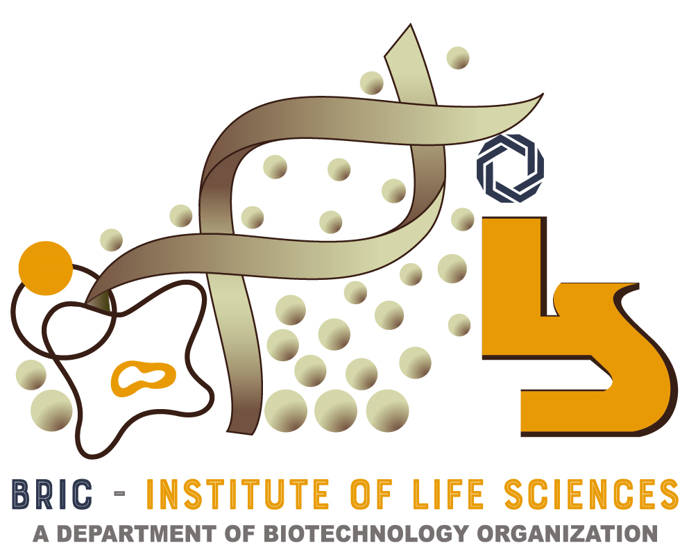 Institute 2 Logo